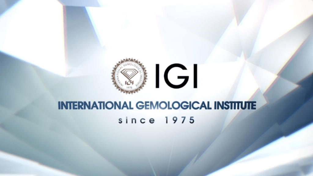 Logo of IGI Antwerp